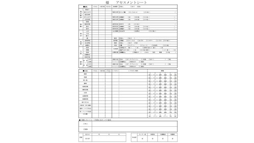 アセスメントシート
